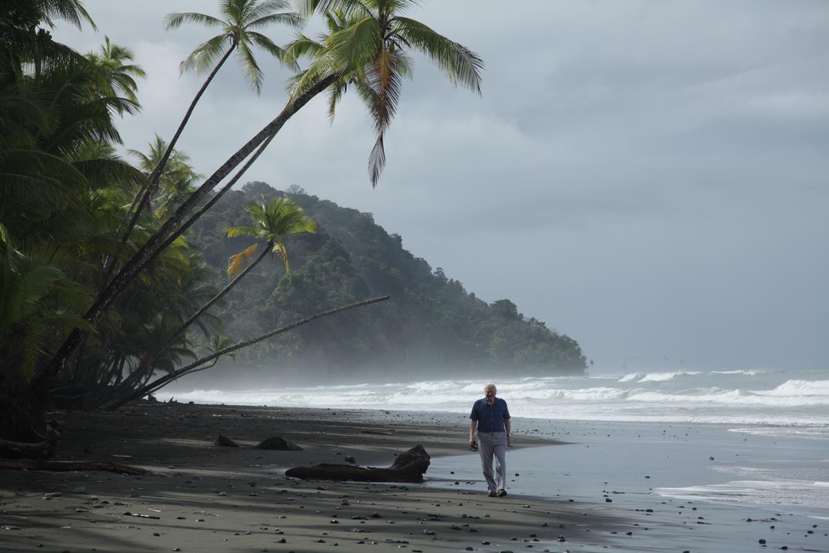 David Attenborough in the series “Life in Color with David Attenborough.” Cr: Netflix