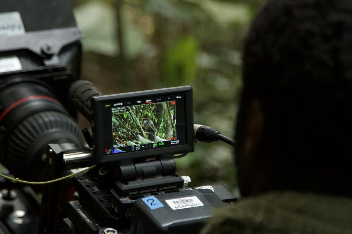 Mandrill in the series “Life in Color with David Attenborough.” Cr: Netflix