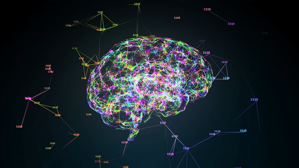 deep learning neural network