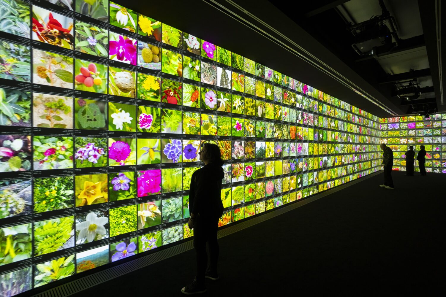 Refik Anadol, “Echoes of the Earth: Living Archive, 2024.” Installation view, Serpentine North. Photo: Hugo Glendinning. Courtesy Refik Anadol Studio and Serpentine.